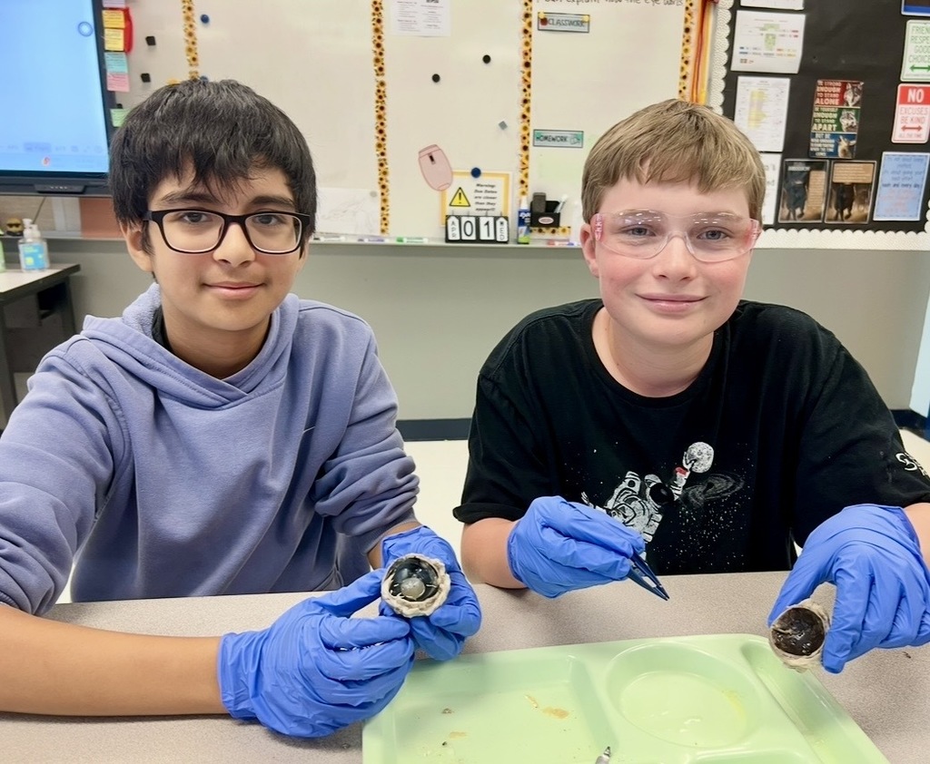 Two children seated at a table in a classroom. They hold items in blue gloves.