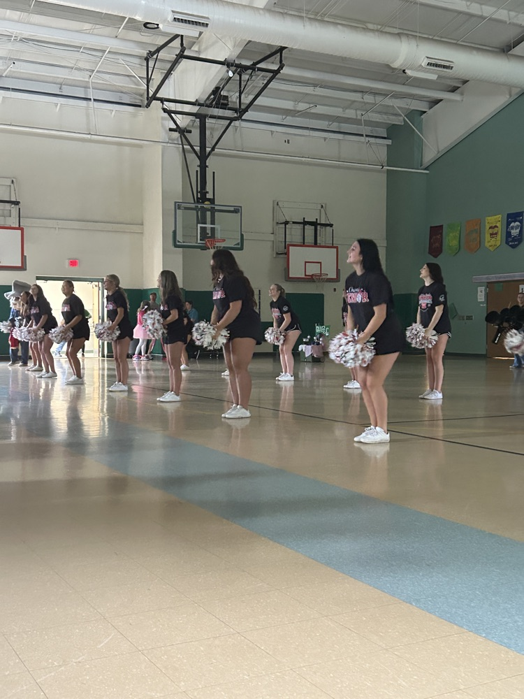 WLHS Cheerleaders cheering our Cubs on!