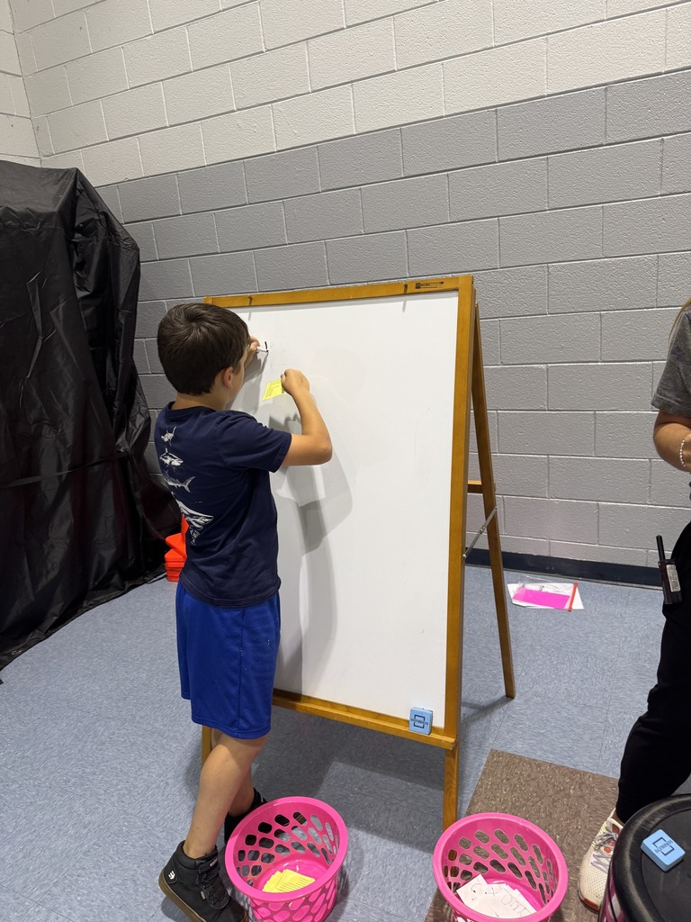 A boy in a blue shirt and shorts writes on a whiteboard in a room with gray walls and blue carpet.