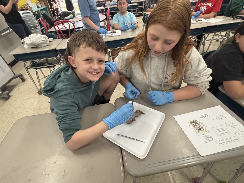 Two students, a boy and a girl, are seated at a desk in a classroom, wearing gloves and examining a small object on a tray.
