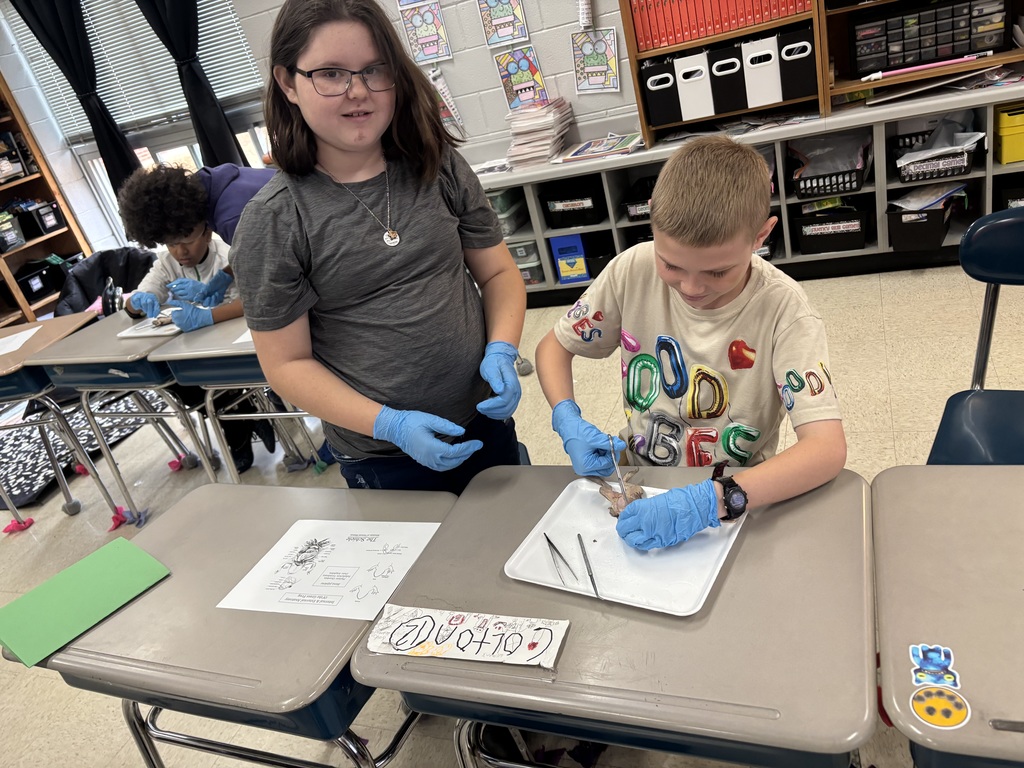 Two children wearing gloves are at a desk with papers and objects. Other children work at tables behind them.