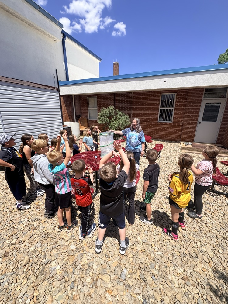 butterfly release 
