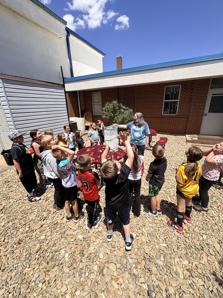 butterfly release 