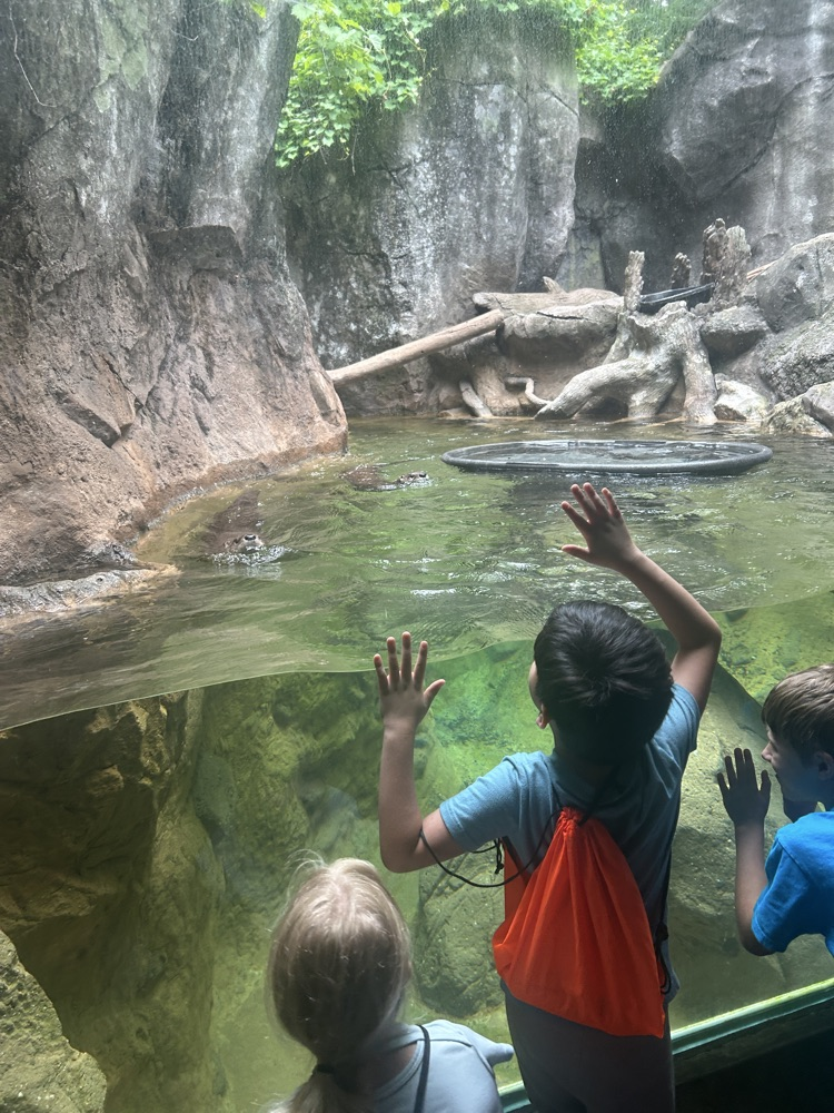 Looking at animals. 