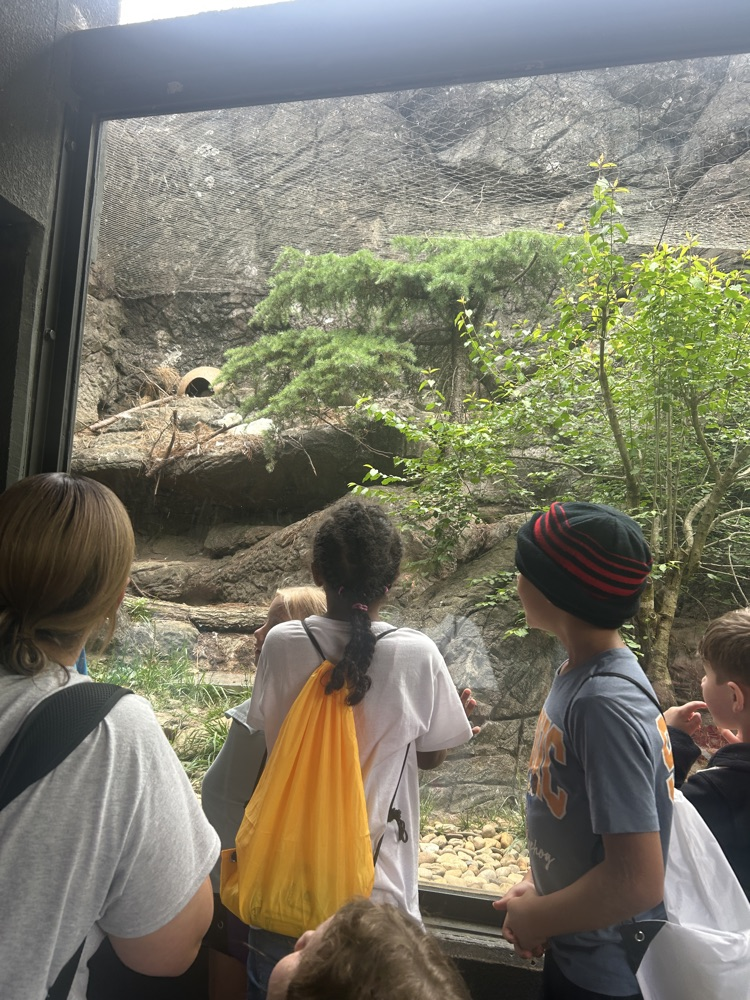 Looking at animals. 