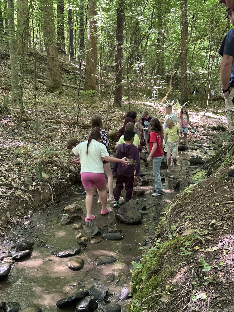 creek walking