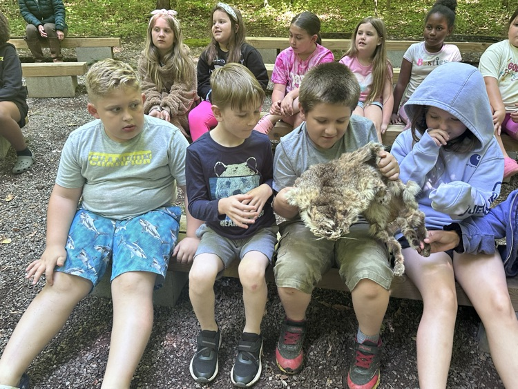boys with bobcat 