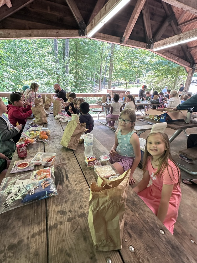 picnic lunch