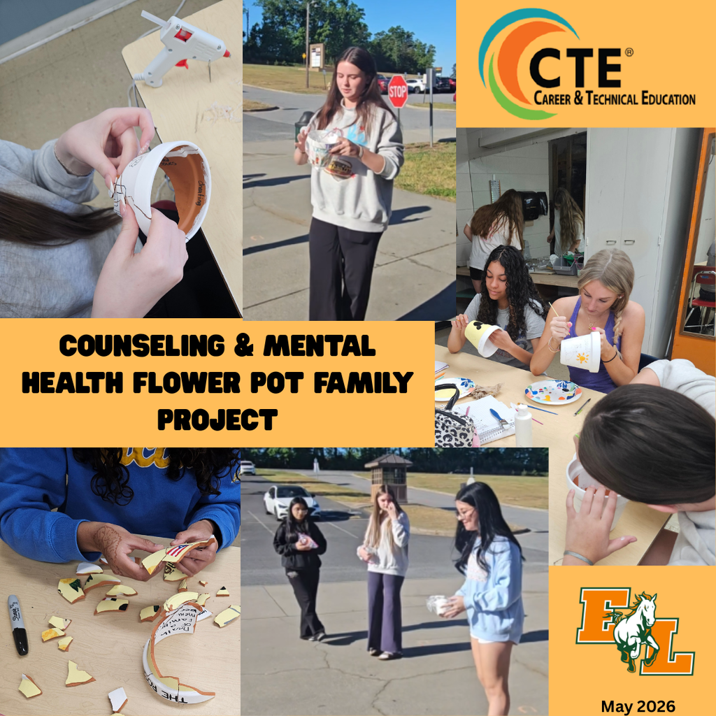 counseling and mental health student project