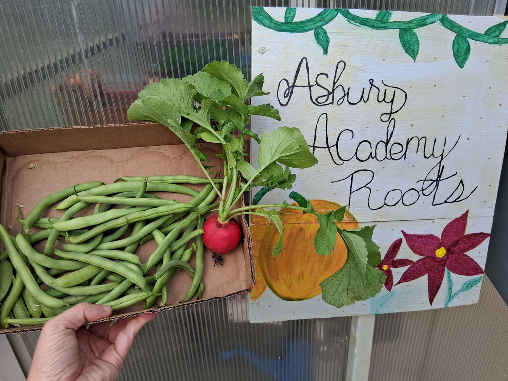 Hand holds box with green beans and a radish. Background shows a sign with "Ashbury Academy Roots" and illustrations of a pumpkin, flower, and leaves.