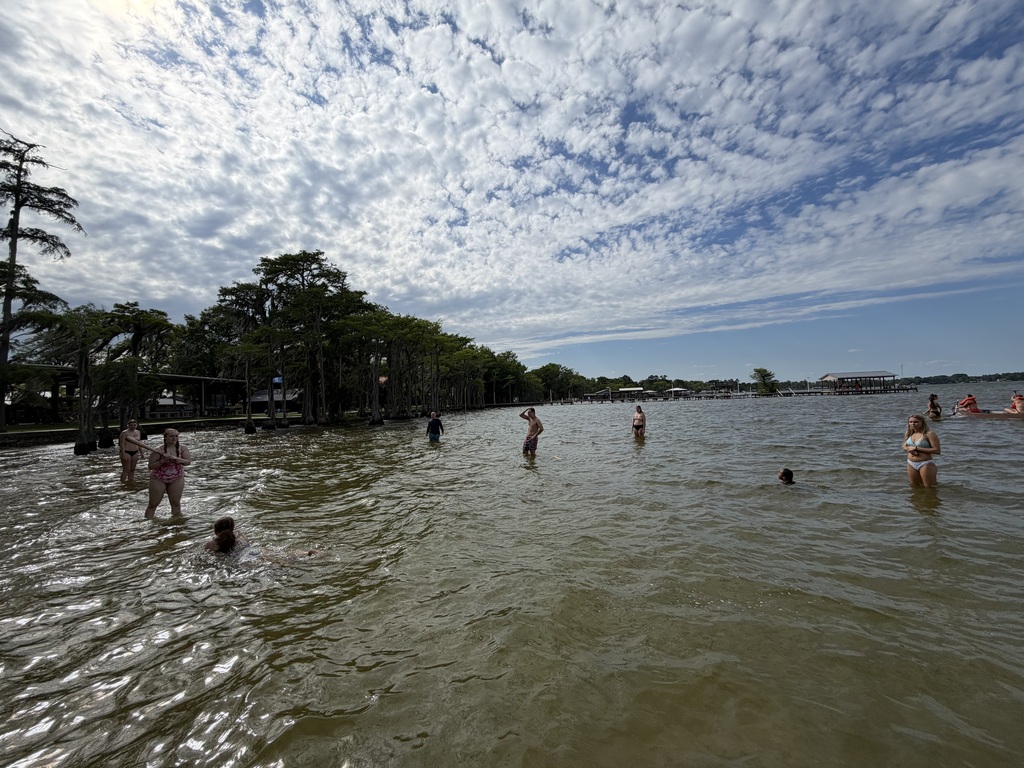 Multiple individuals swim in a body of water; some stand in shallow water. Trees and a cloudy sky are in the background.