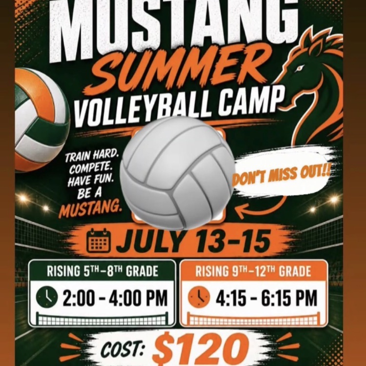Volleyball Camp