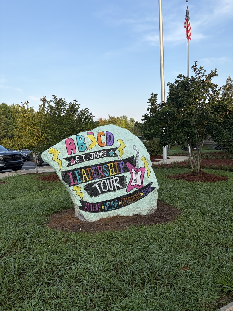 A painted rock with "ABCSD Get James Leadership Tour 2021" stands in a park with a flag and trees.