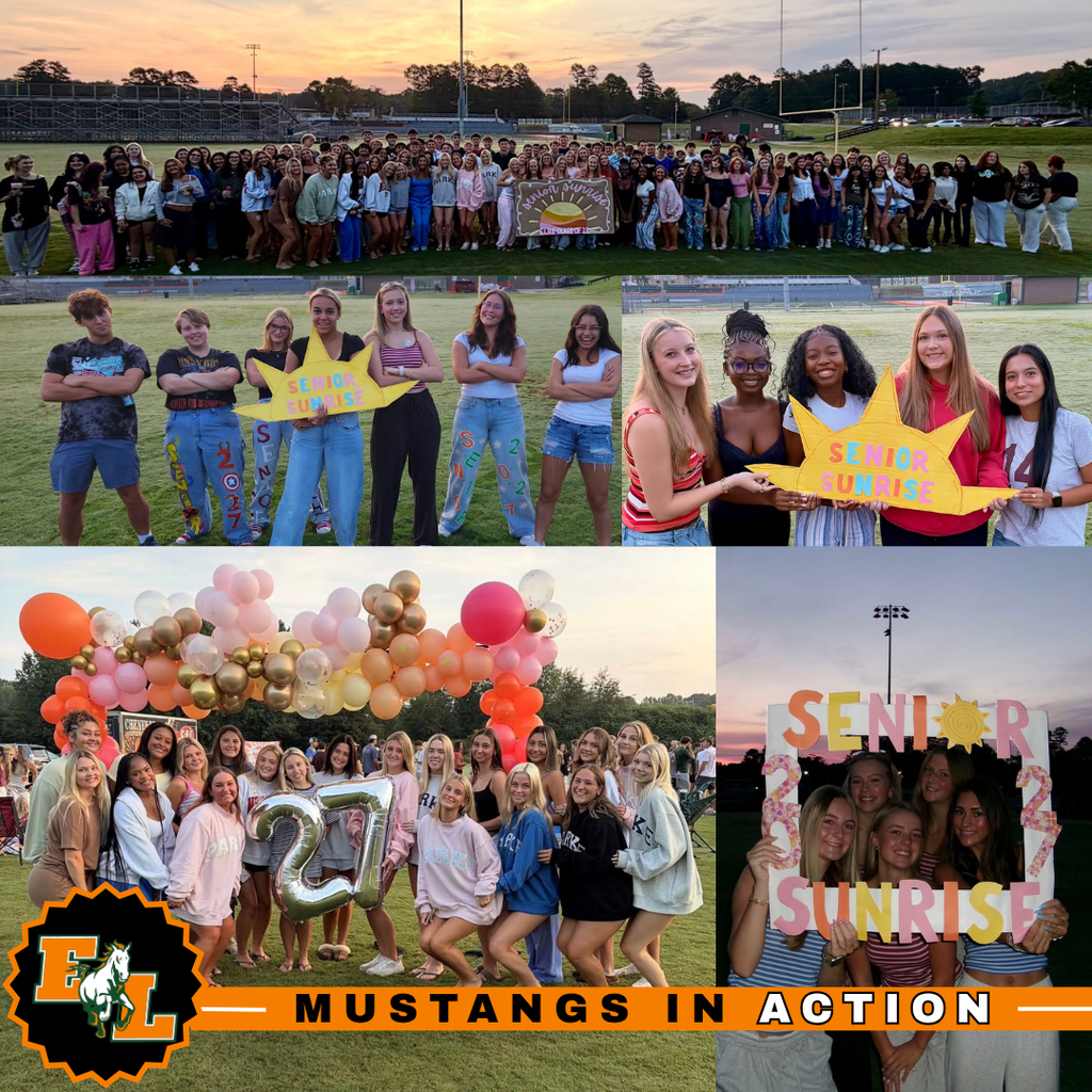 A collage of photos shows a group of people gathered at a sports event. Some hold signs, and others are posing with balloons.