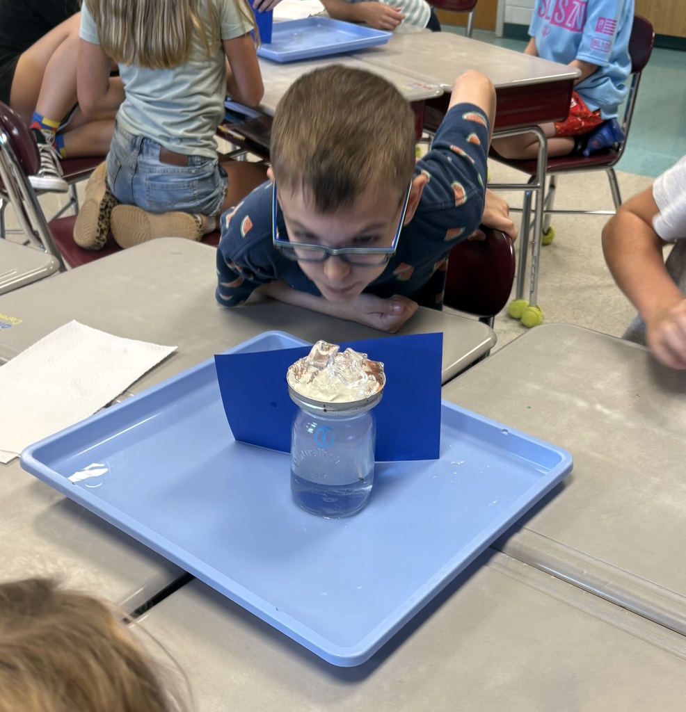 A student wearing glasses leans over a jar on a blue tray, in a classroom setting with tables and chairs.
