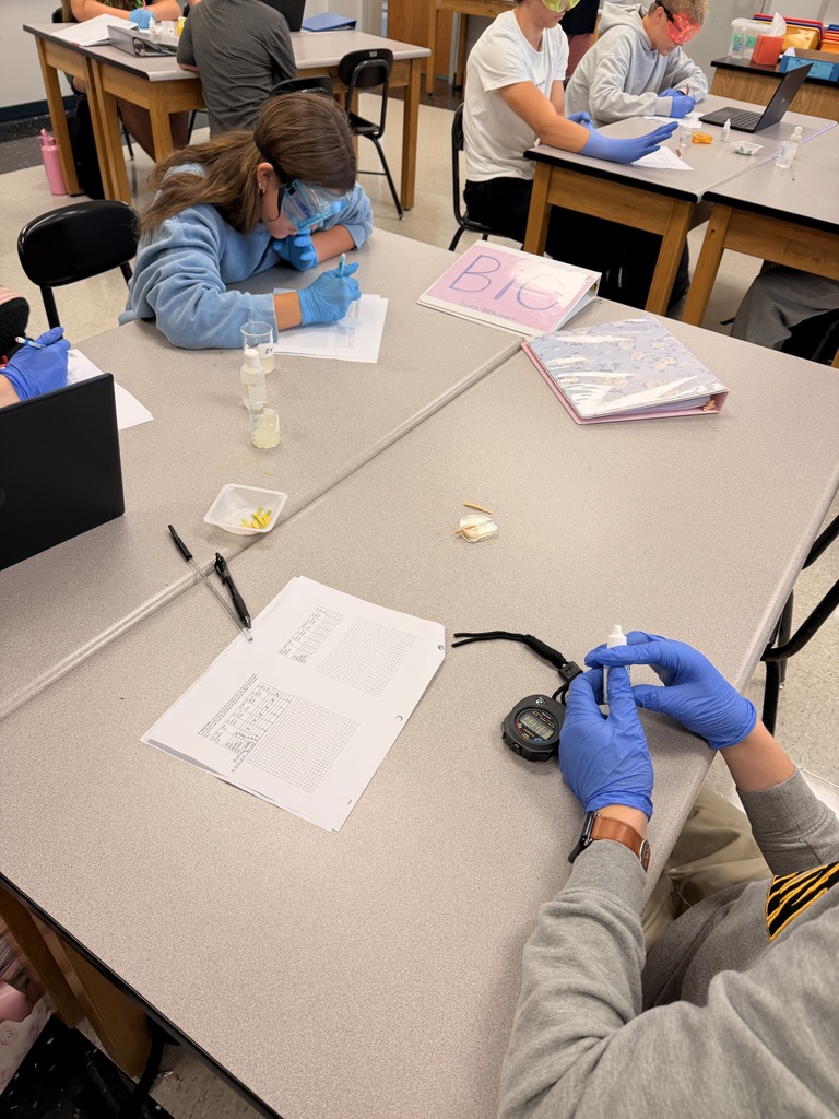 Students in a classroom lab, wearing blue gloves, perform tasks at tables with equipment and papers.