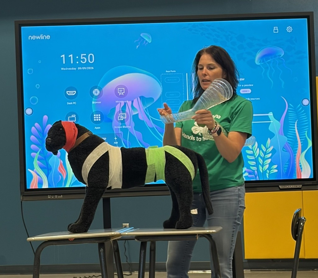 Woman holding a blow-up device next to a dog wearing a green bandage. A screen behind them shows jellyfish.