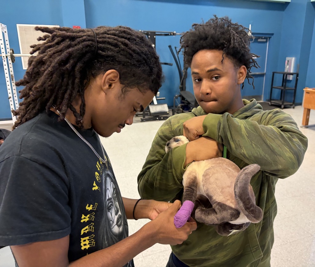 Two people examine a small animal, likely a cat, with one holding it and the other using a pink object.