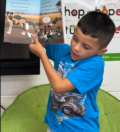 A young boy in a blue shirt holds an open book with a picture of a dog.