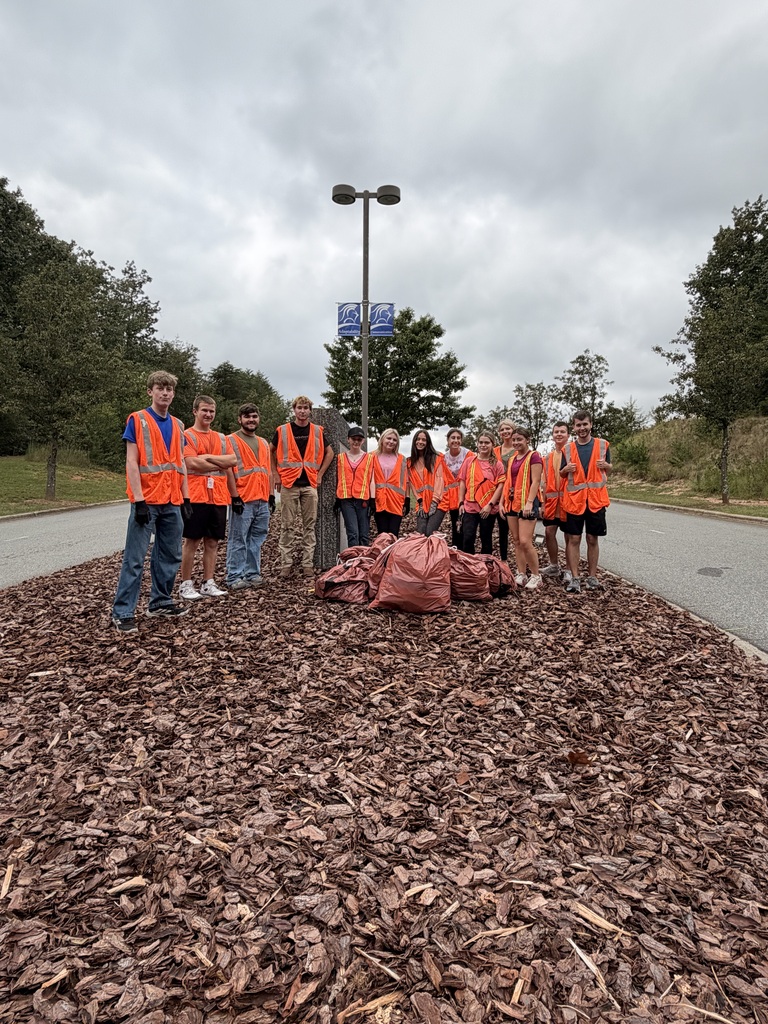 A group of people in orange vests stands by a pile of mulch near a street.