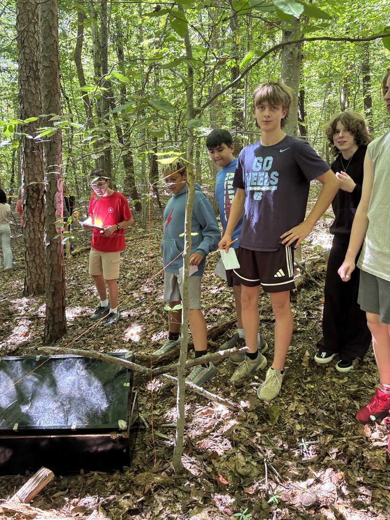 Five young people in shorts and t-shirts gather in a wooded area, with one standing next to a small tree.
