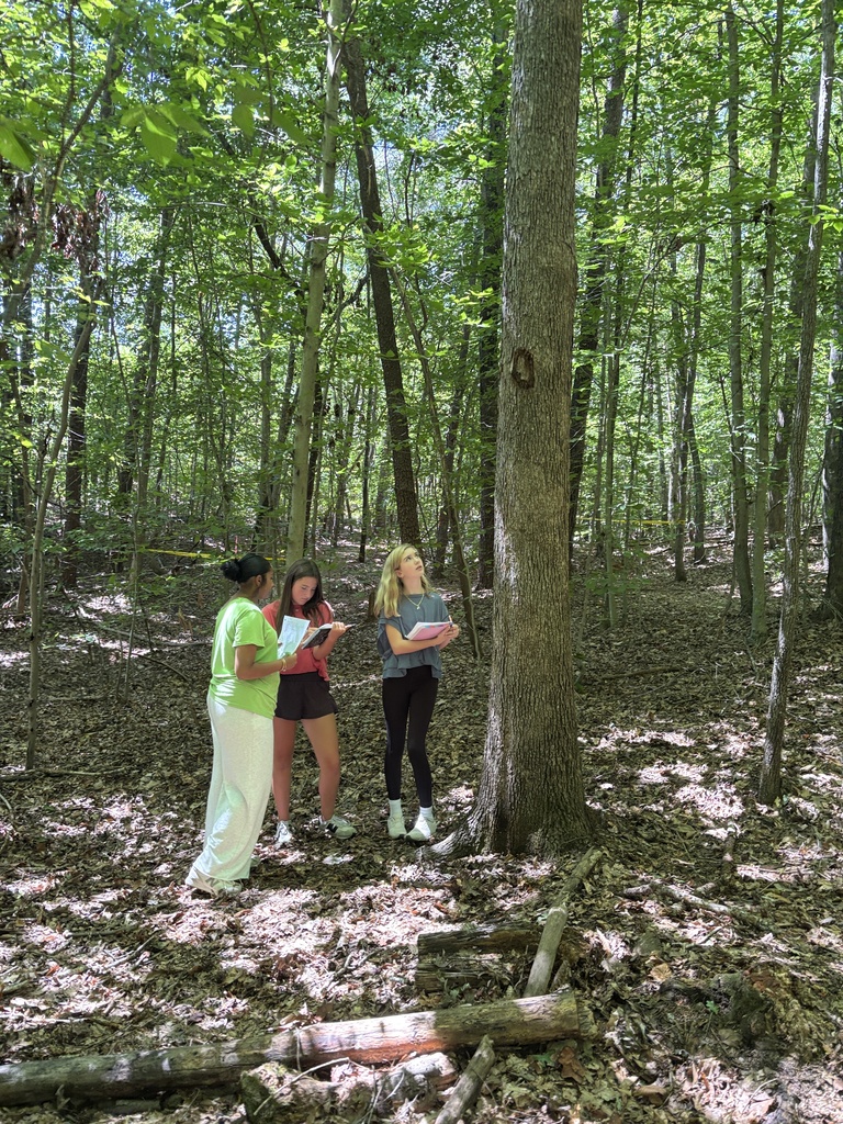 Three people examine a tree in a forest. One holds a book and two have backpacks. Sunlight filters through the trees.