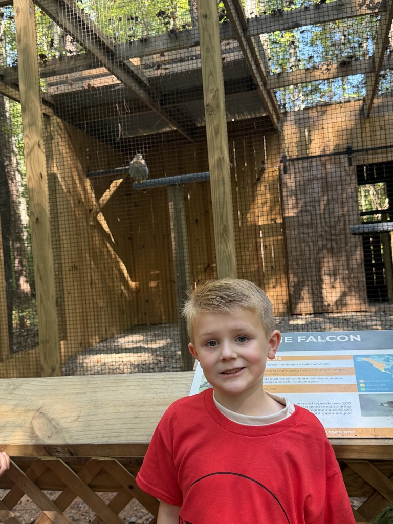 First Grade Field Trip to the Carolina Raptor Center