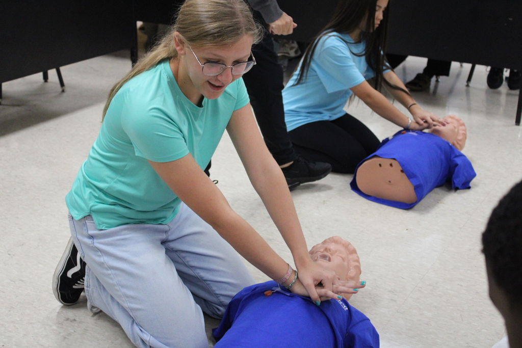 Two individuals practice CPR on mannequins. One kneels with hands on a dummy, the other sits with hands on a dummy.