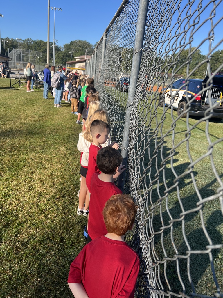 Group of children watching a baseball game from behind a metal fence, with a grassy field and trees in the background.