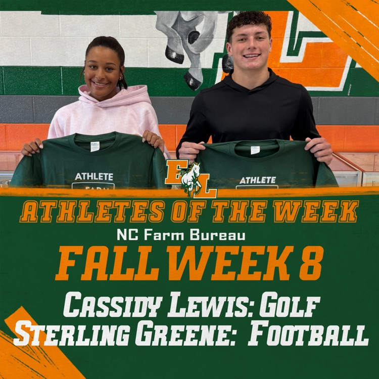 AOW week 8