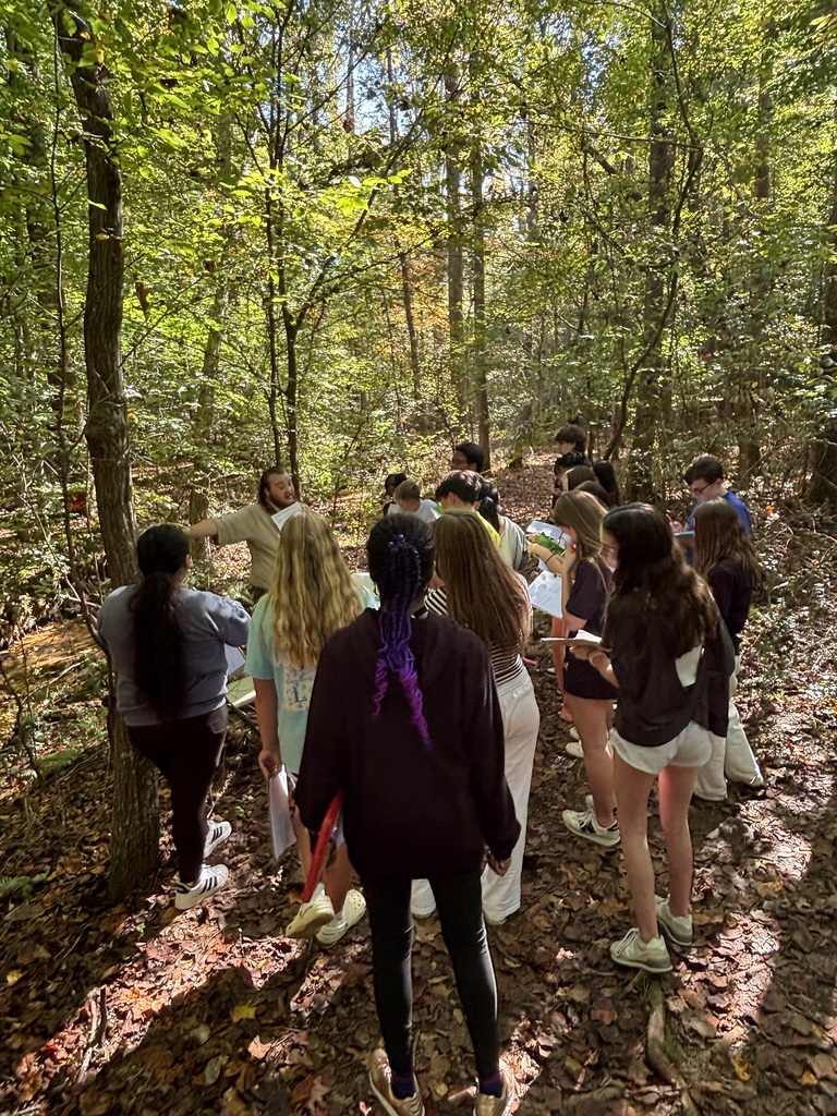 A group of people walks in a wooded area with sunlight filtering through trees. They are observing and discussing something.