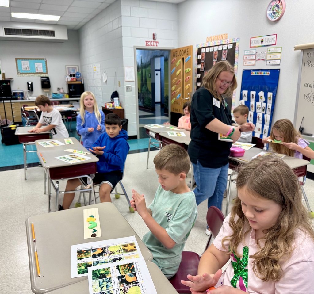 Second graders exploring the pumpkin cycle