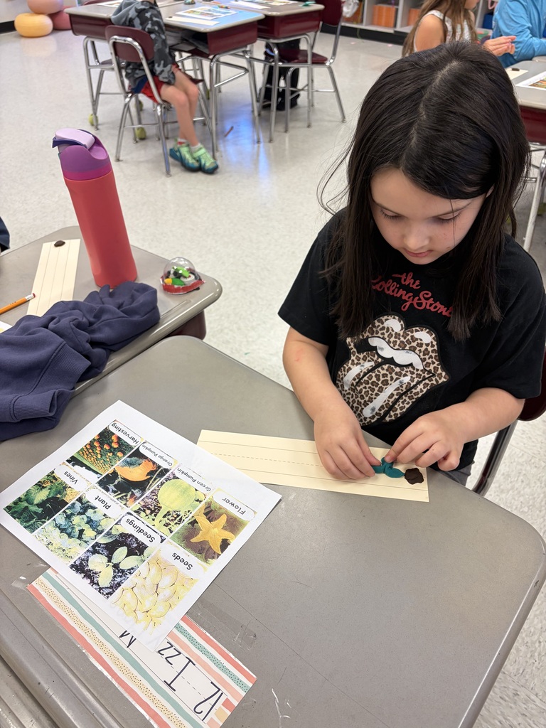 Second graders exploring the pumpkin cycle