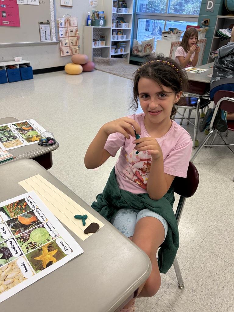 Second graders exploring the pumpkin cycle