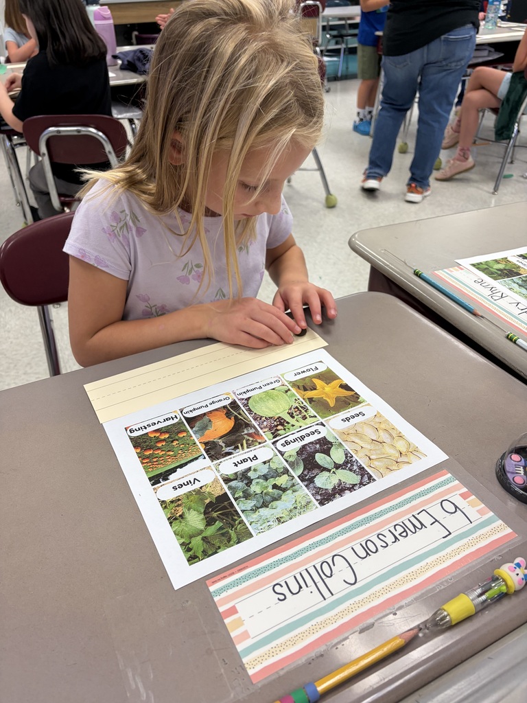 Second graders exploring the pumpkin cycle