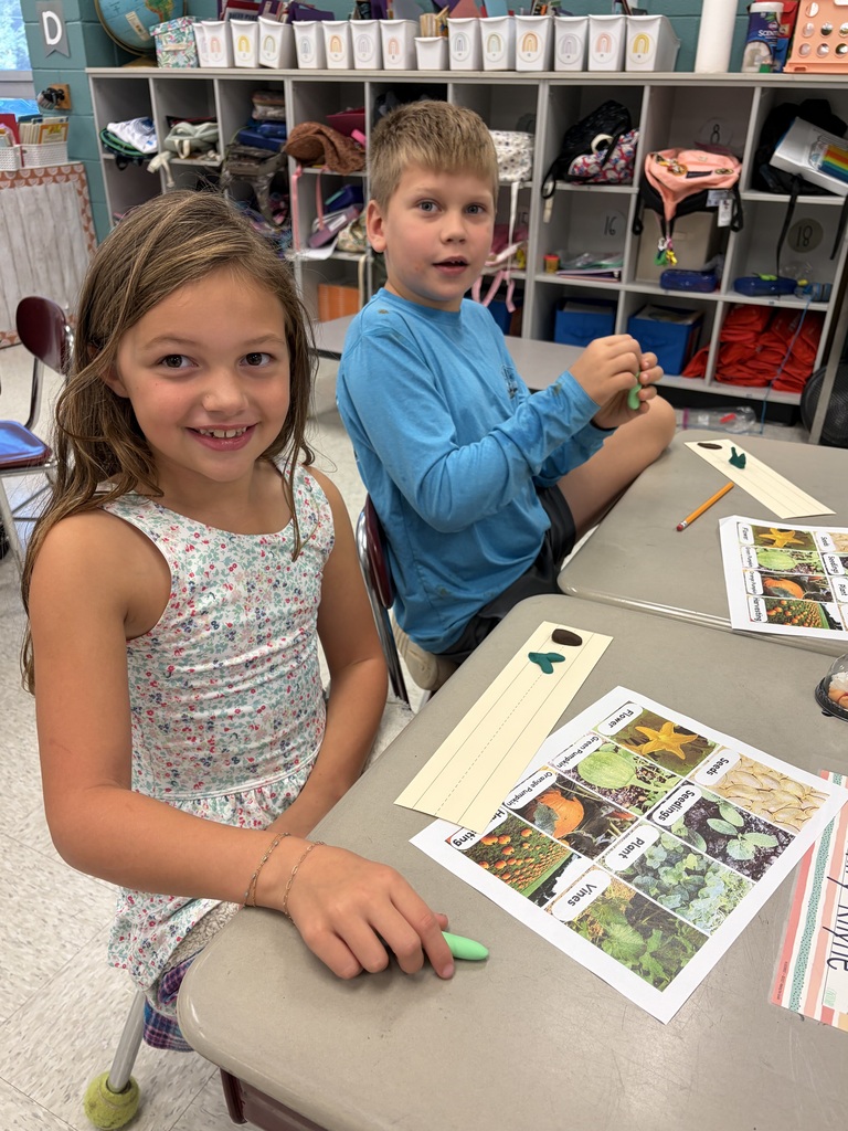 Second graders exploring the pumpkin cycle