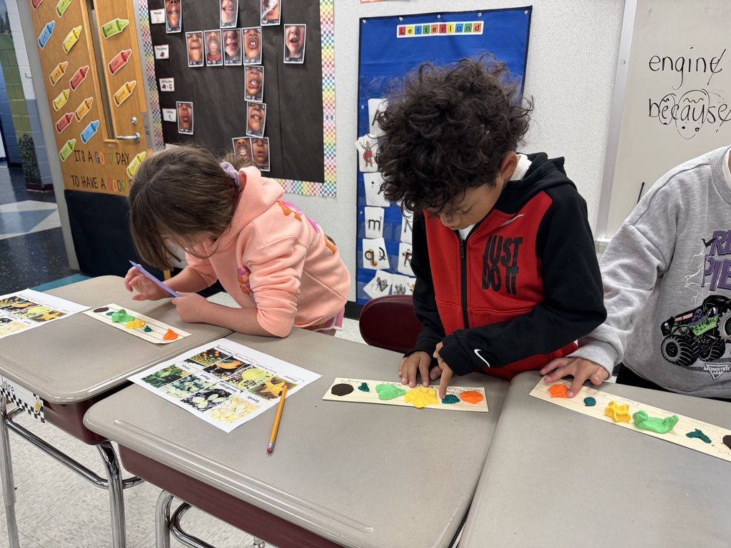 Second graders exploring the pumpkin cycle