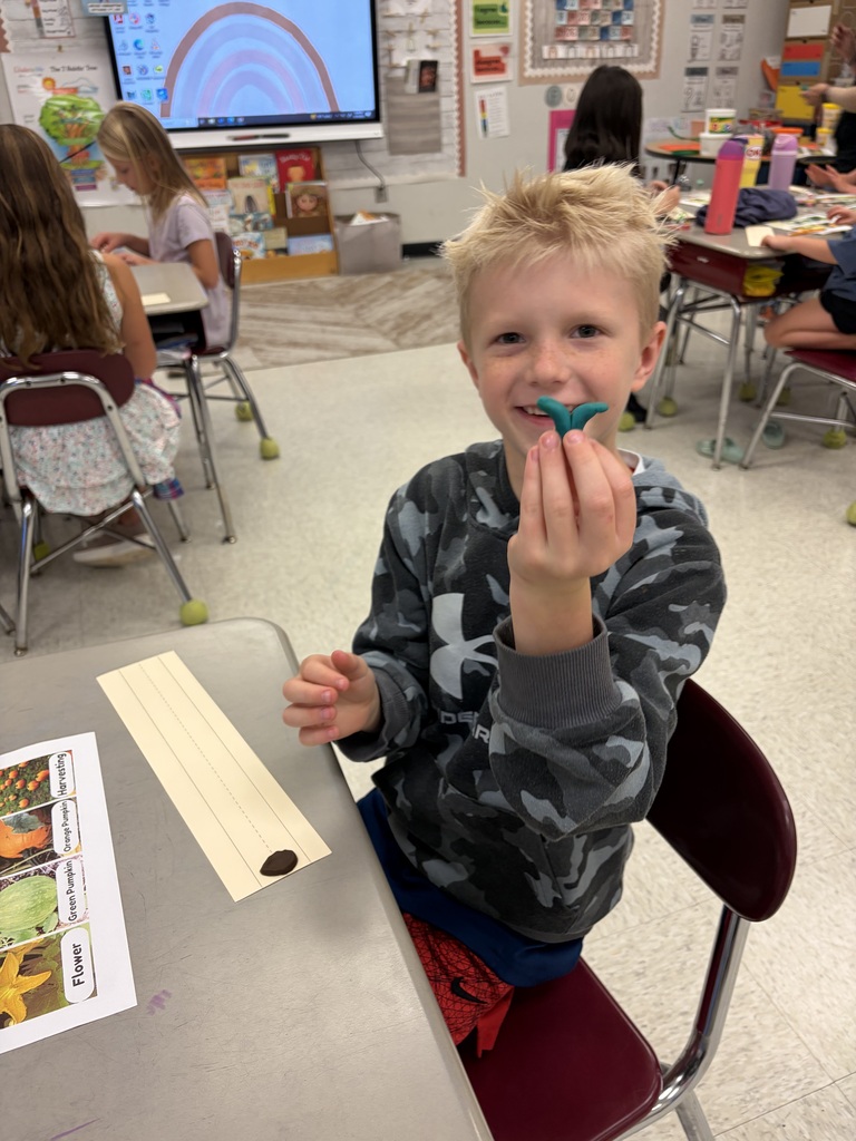 Second graders exploring the pumpkin cycle