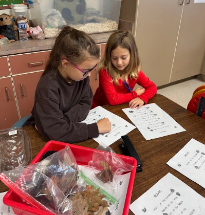 Two students at a table, studying with papers and a bin of leaves, inside a classroom.