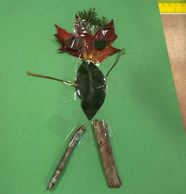 A person-like figure on green background made from leaves, twigs, and branches. Two sticks represent legs.