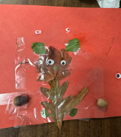 A red page displays a leaf with eyes and other leaves, surrounded by items like acorns and twigs, all within plastic.