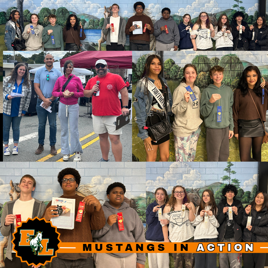 Multiple photos of students standing in groups, holding certificates, under a banner with "Mustangs in Action" and a logo.