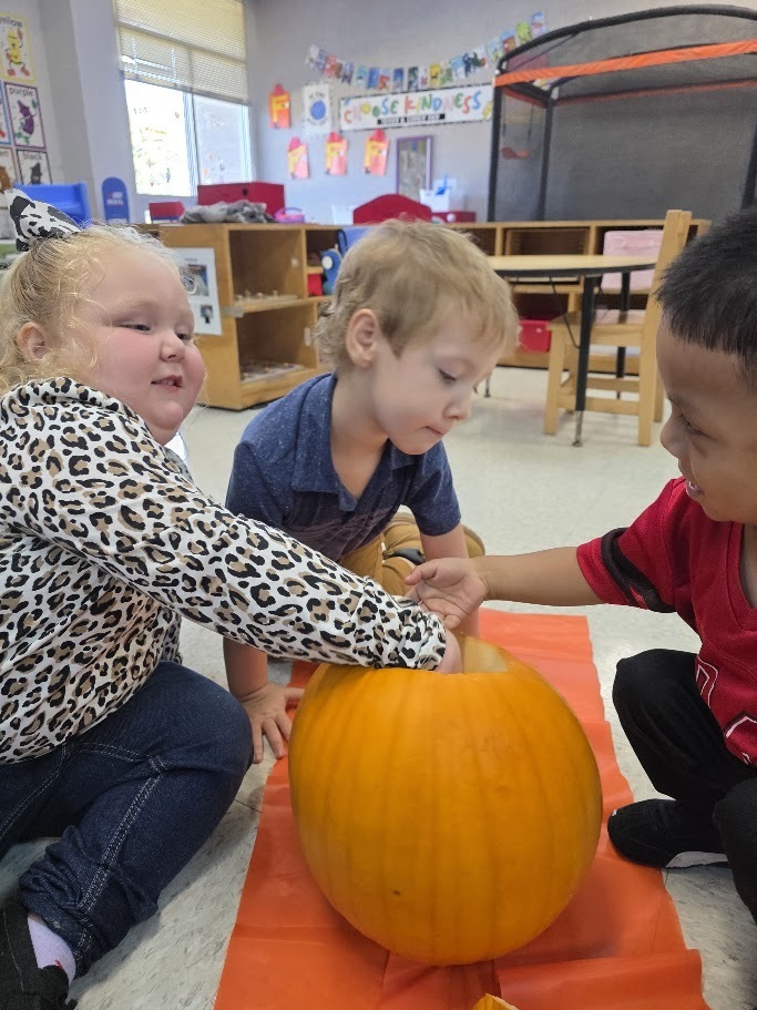 Three children sitting on floor. One holds pumpkin with others. Room has shelves, chairs, tables.