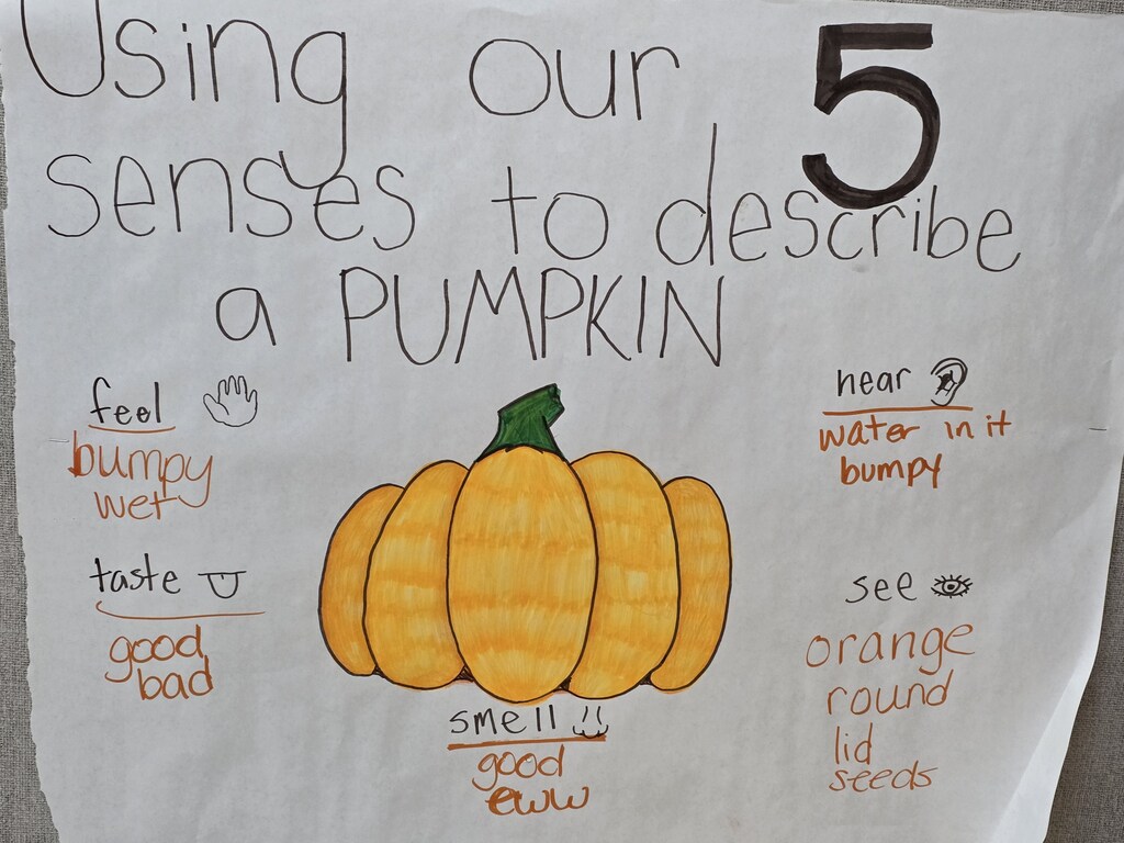 Poster with a pumpkin drawing and text about the five senses for describing a pumpkin.