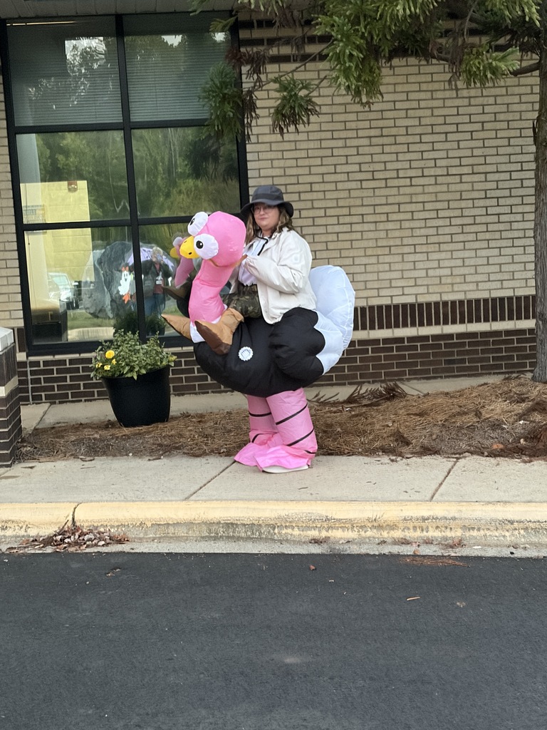 Person in pink flamingo costume standing on a sidewalk with potted plant and building in background.