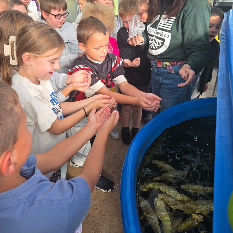 Kids and adults gather around a blue container filled with water and fish. Some children touch the water.
