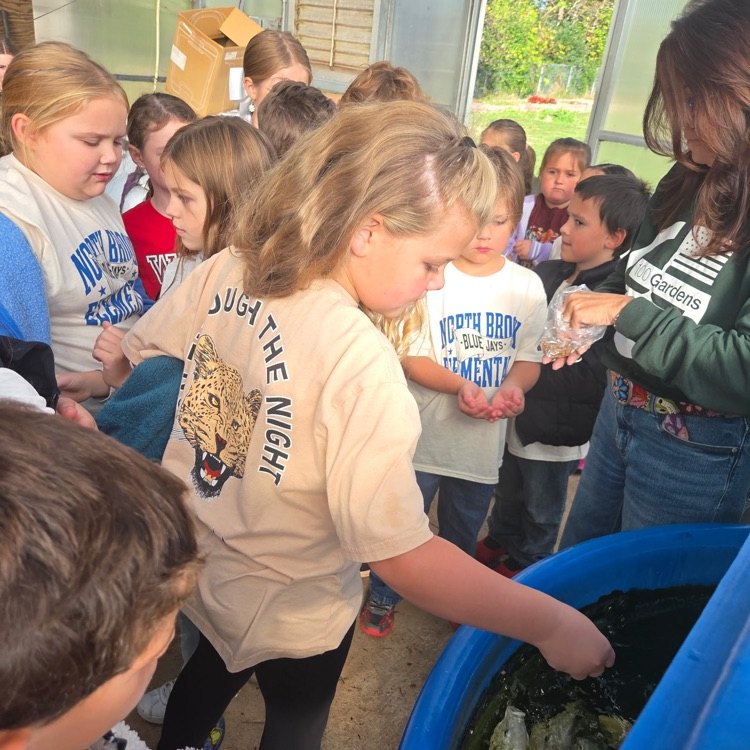Several children and an adult examine a large blue container with fish. One child reaches into the water.