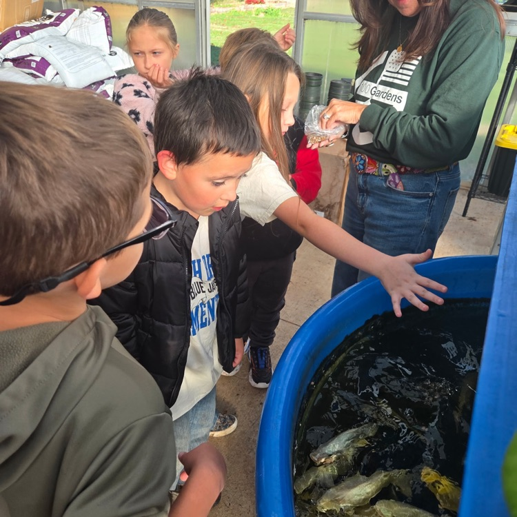 Several children look at fish in a tank; one child's hand reaches into the water.