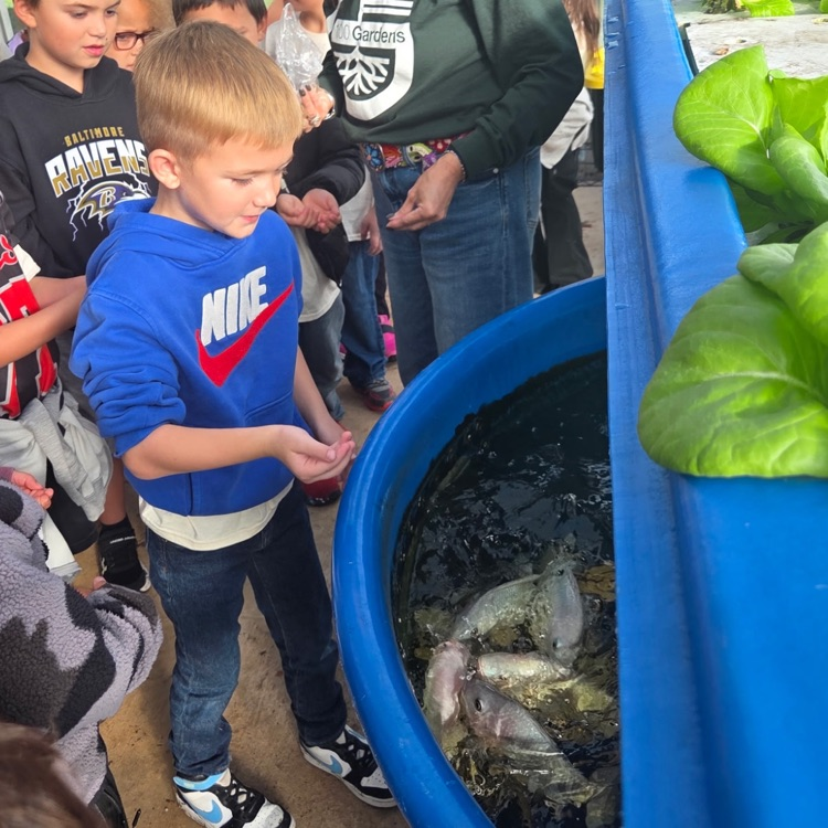 Children standing by a blue container with fish swimming inside. One boy is pointing at the fish.