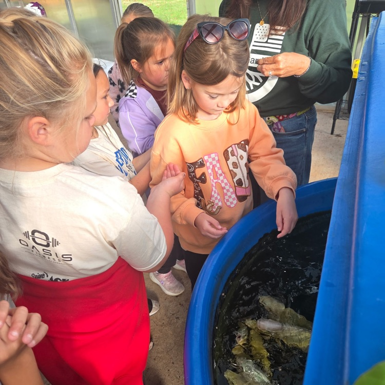 Children in a room with blue walls are looking at fish in a round blue tub.